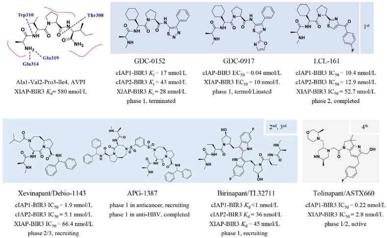 Figure 13