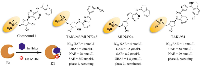 Figure 12