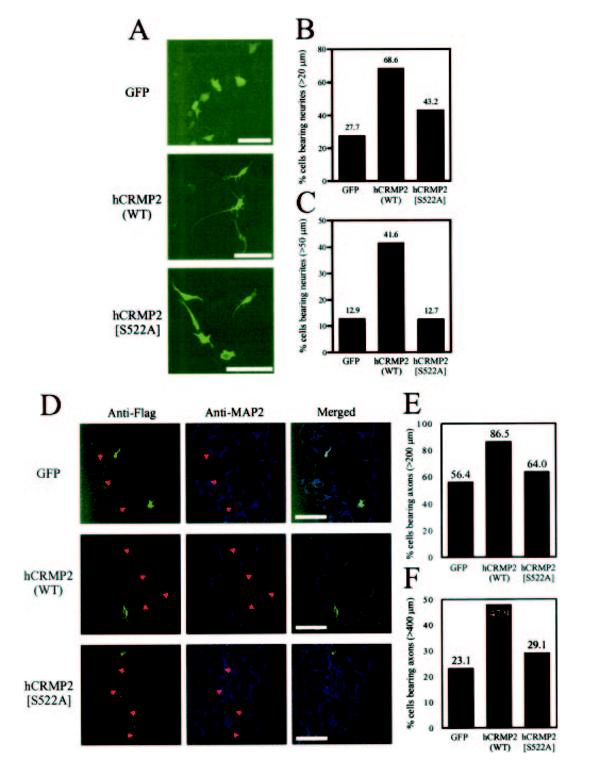 FIG.3