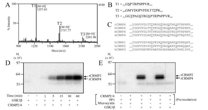 FIG.1