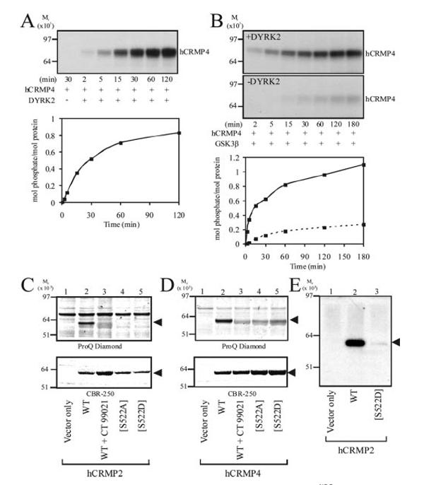 FIG.2