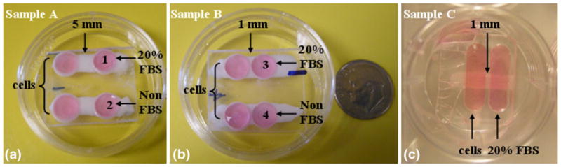 Fig. 3