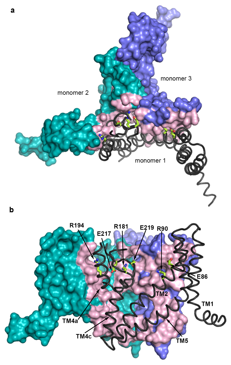 Extended Data Figure 4