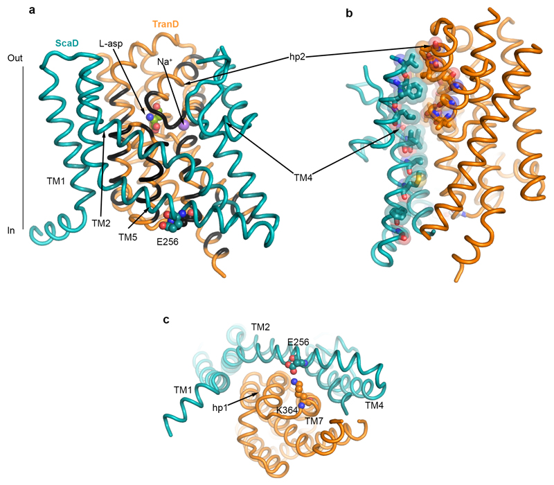 Extended Data Figure 5