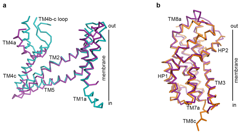 Extended Data Figure 3