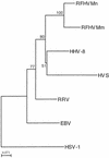 FIG. 1