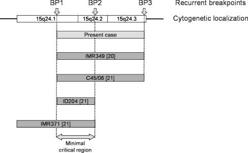 Fig. 3