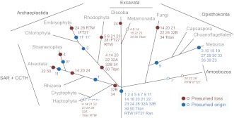 Fig. 6.