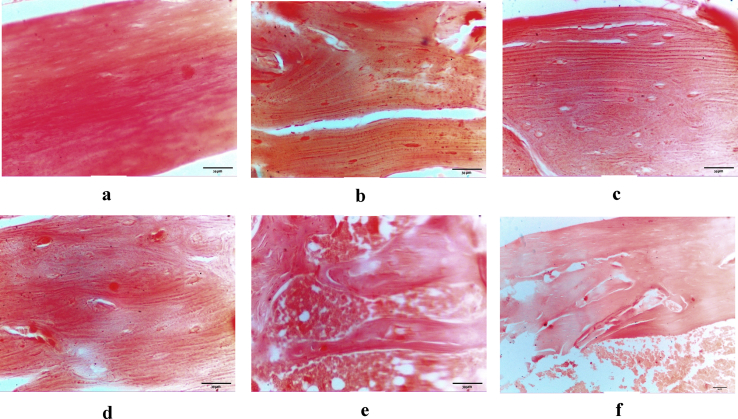 Figure 5