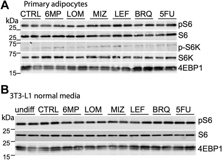 Figure 3