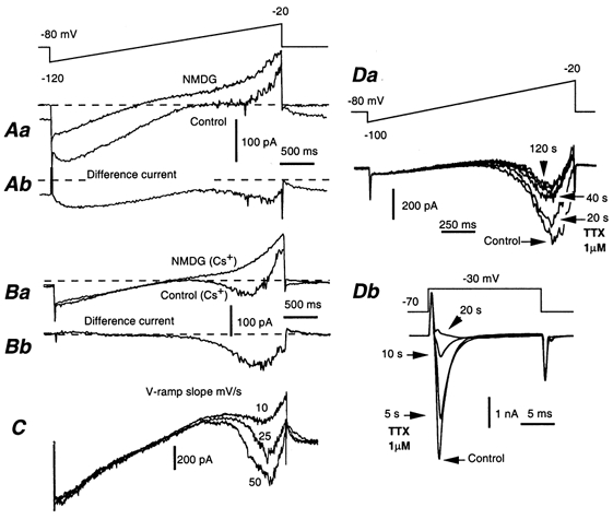 Figure 8