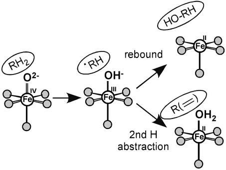 Scheme 2