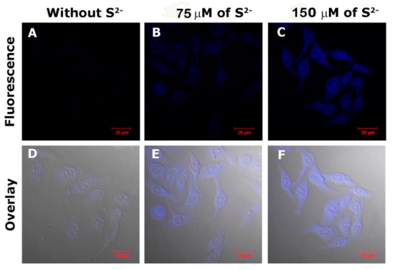 Figure 10