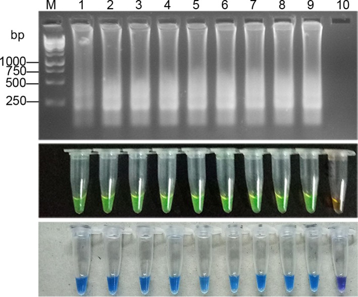 Figure 6