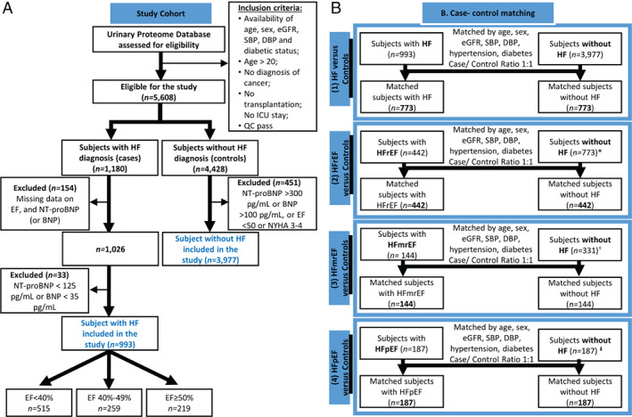 EJHF-2195-FIG-0001-c