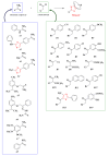 Scheme 10
