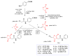 Scheme 7