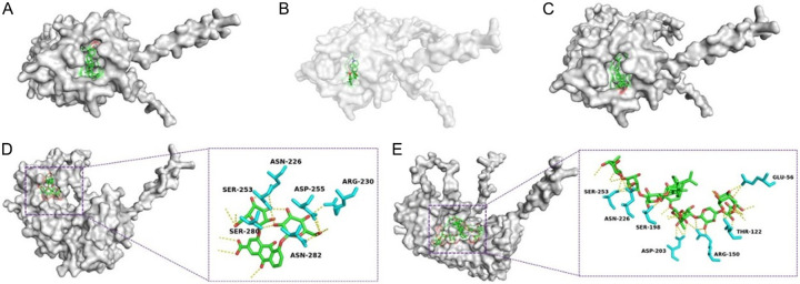 Figure 12