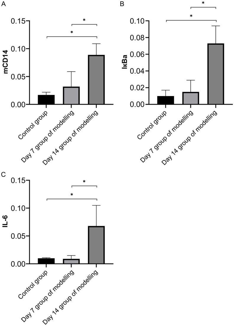 Figure 17