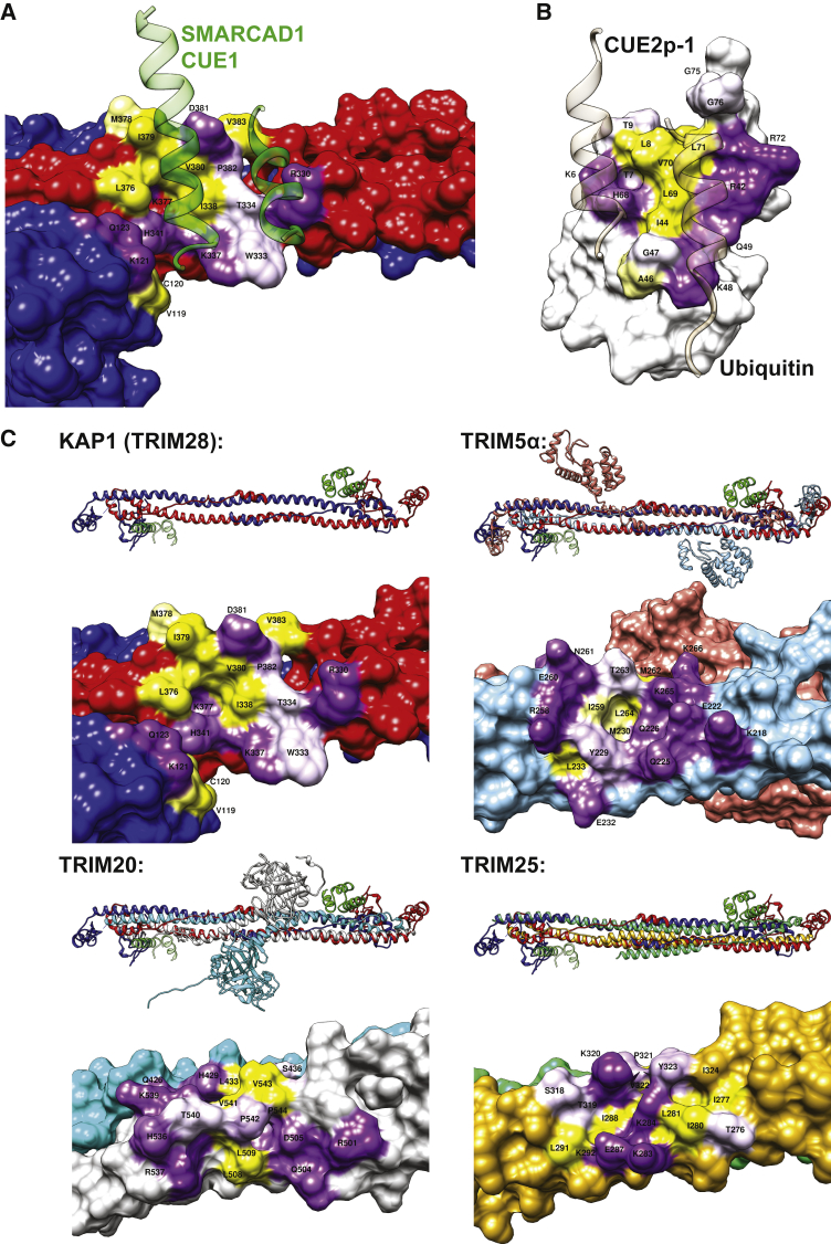 Figure 3