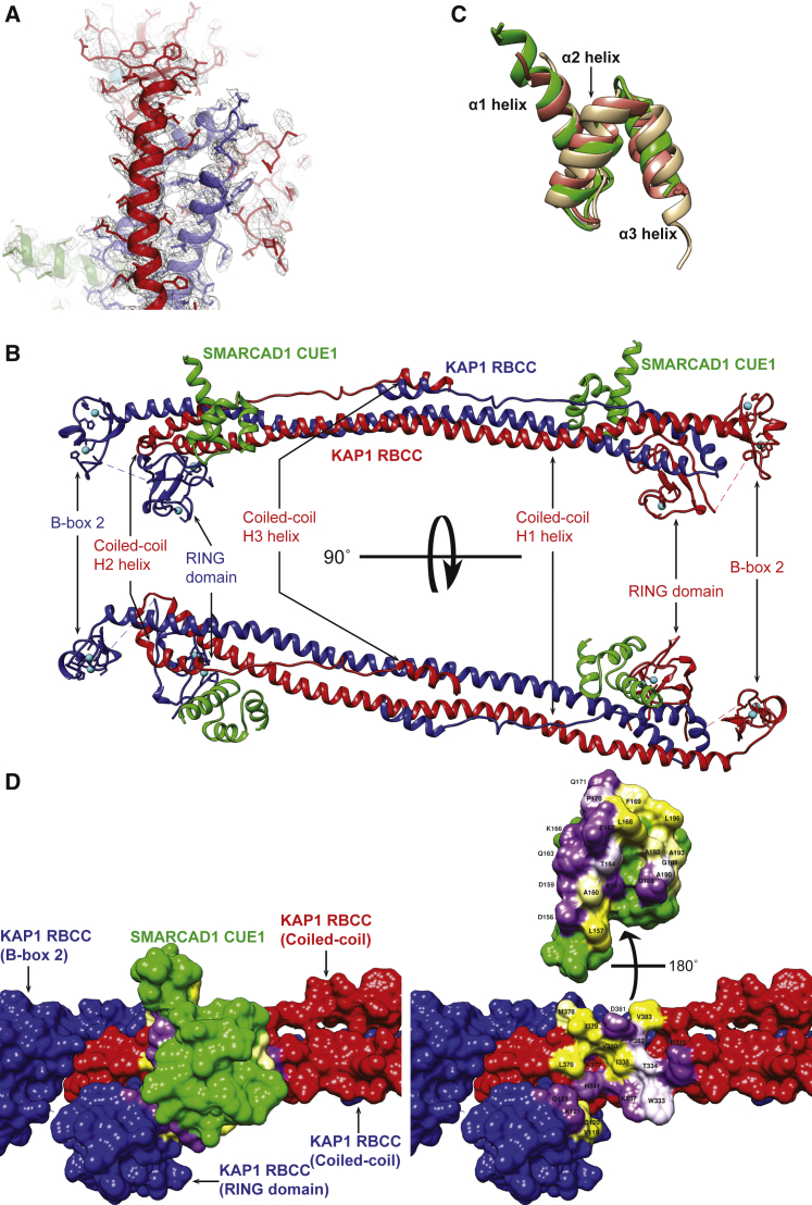 Figure 2