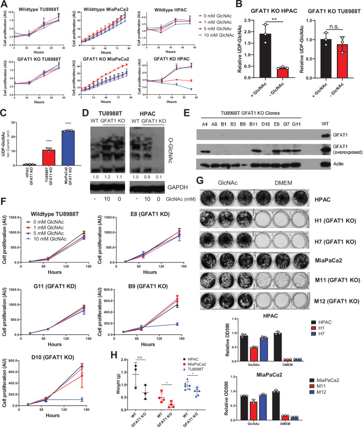 Figure 1—figure supplement 1.