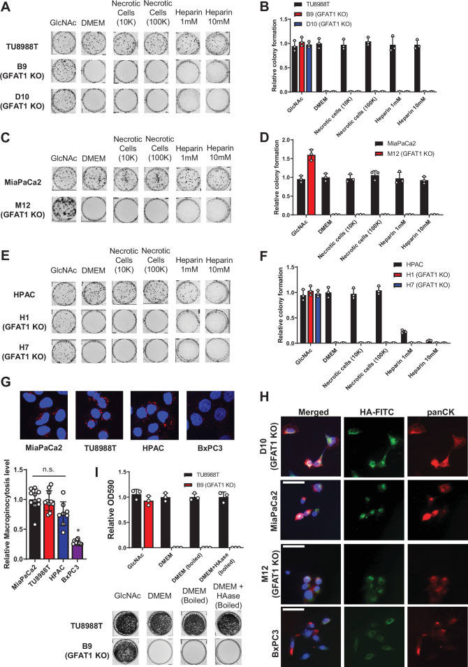 Figure 3—figure supplement 1.