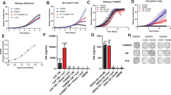 Figure 3—figure supplement 2.