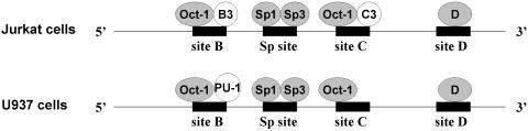 Figure 16