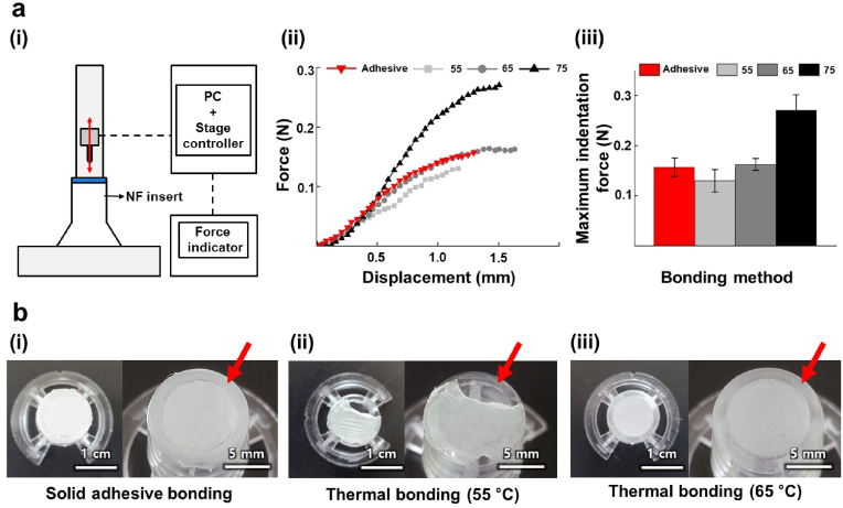 Fig. 3