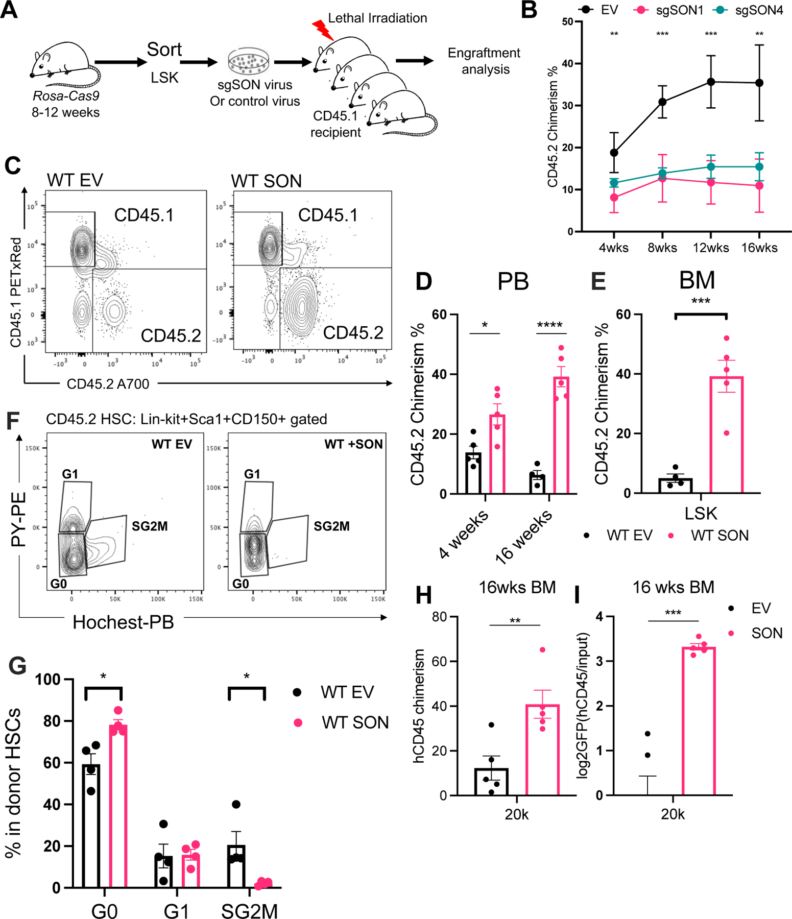 Figure 4: