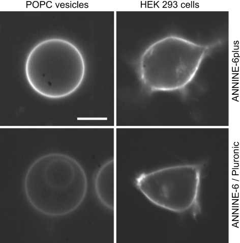 Fig. 4