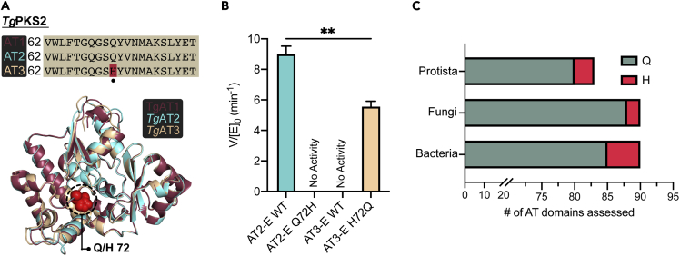 Figure 5