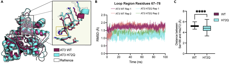 Figure 6