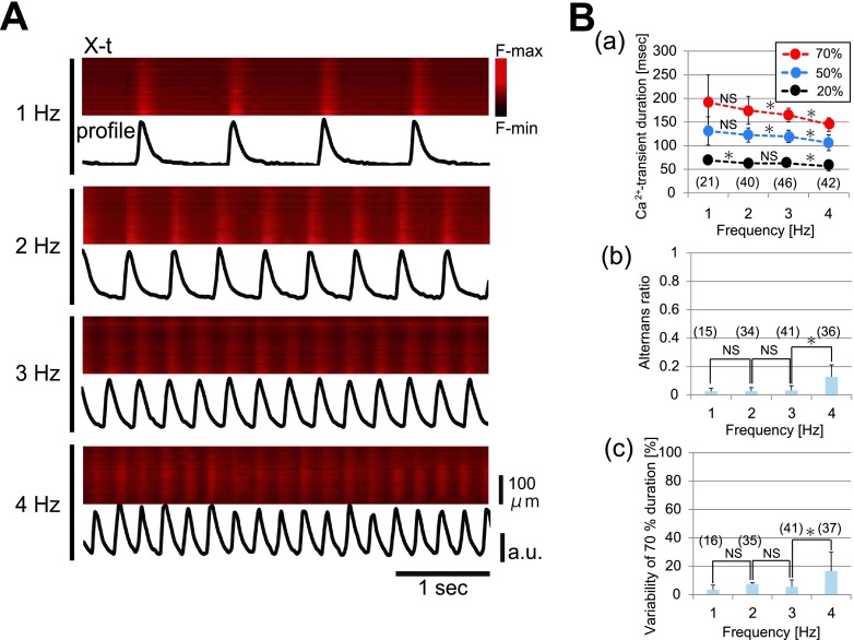 Fig. 2. 