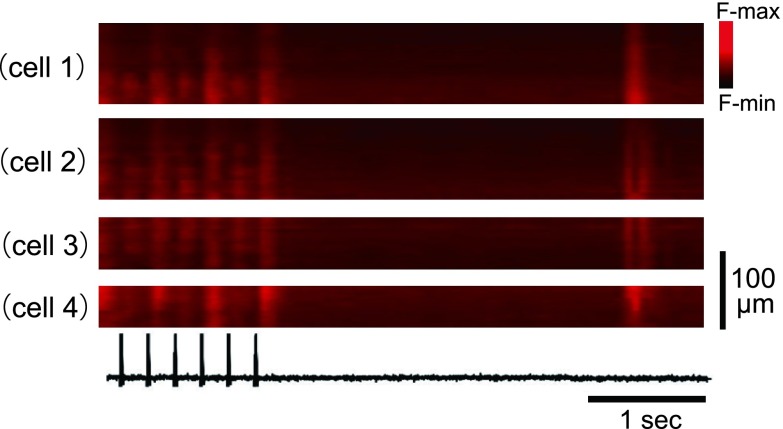 Fig. 6. 