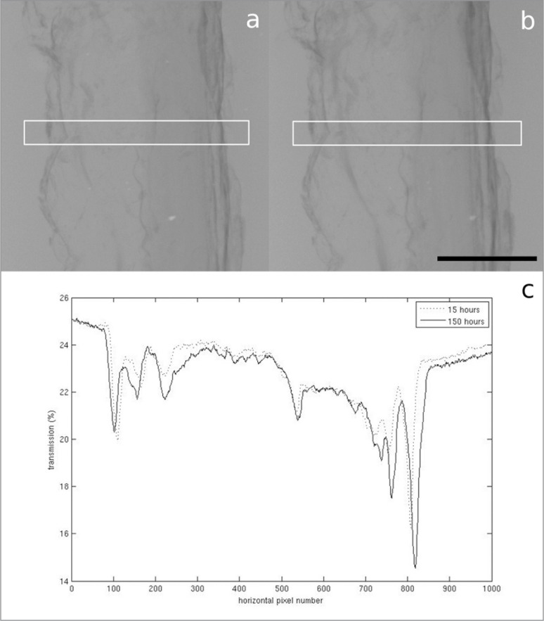 Figure 2 A–C.