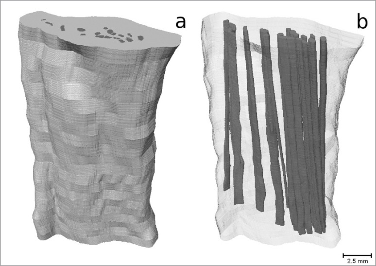 Figure 6 A–B.