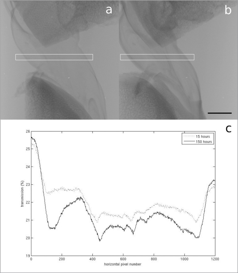 Figure 1 A–C.