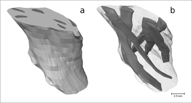 Figure 5 A–B.