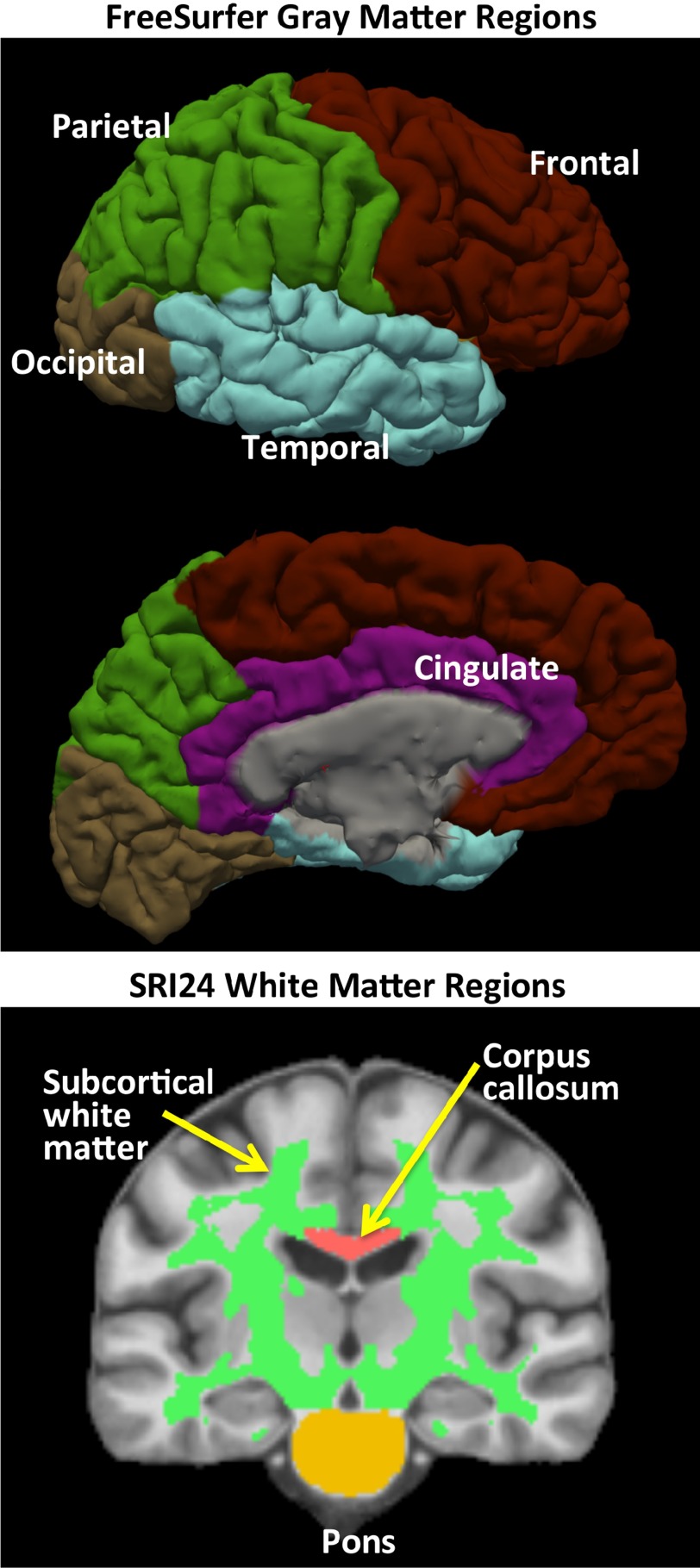 Figure 2.