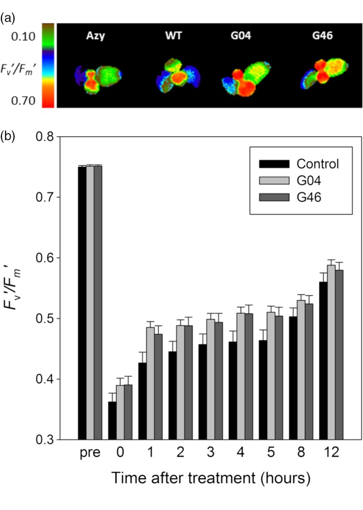 Figure 6