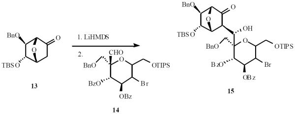 Scheme (4)