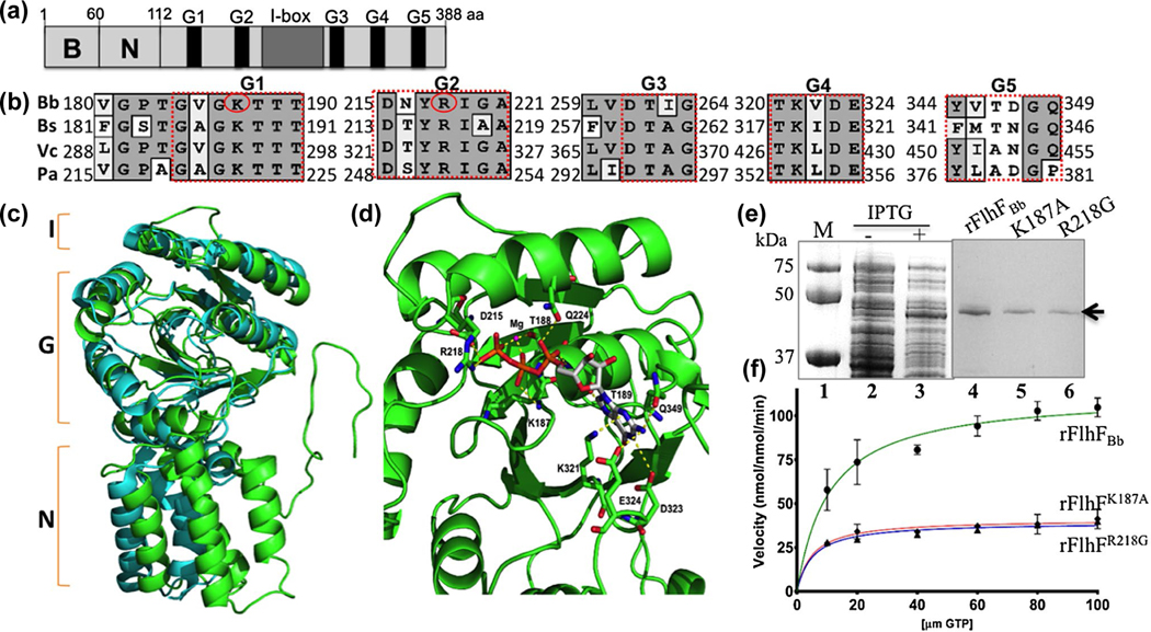 FIGURE 1