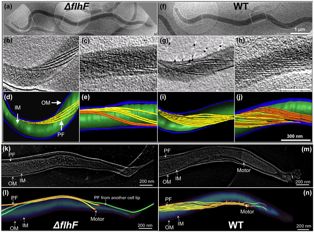 FIGURE 3