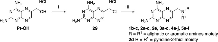 Scheme 1