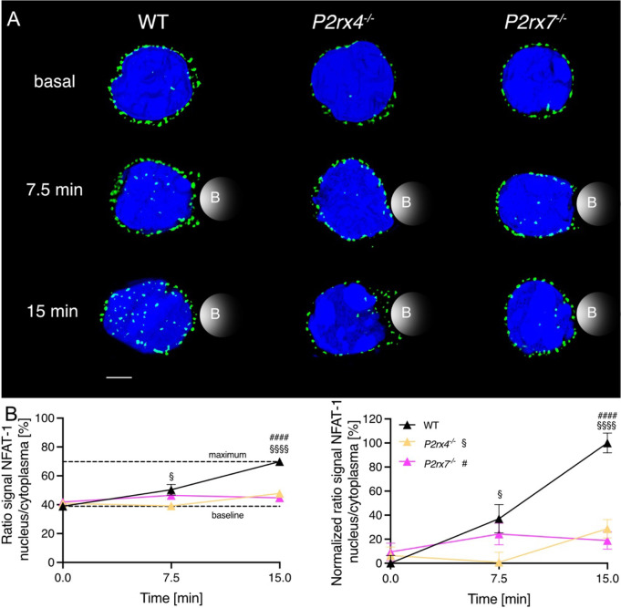 Figure 4