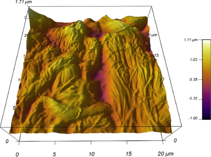 Figure 5