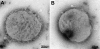 Fig. 3.