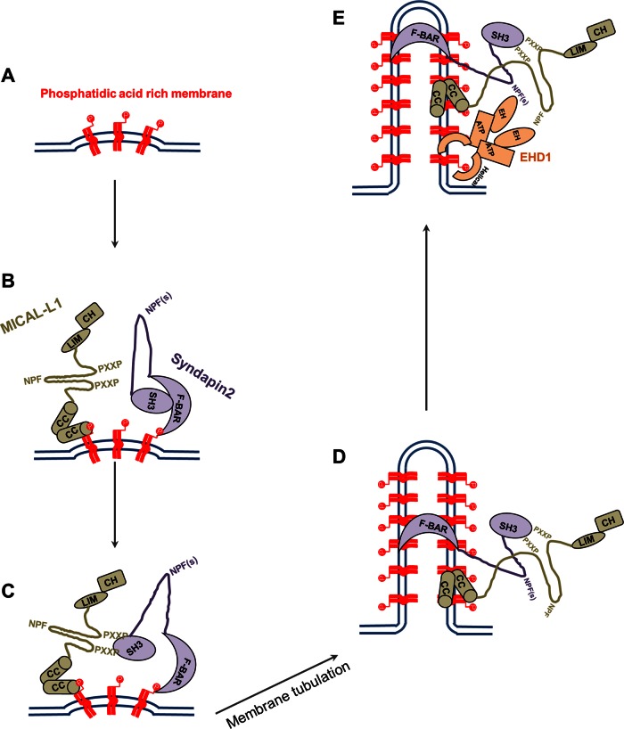 FIGURE 7: